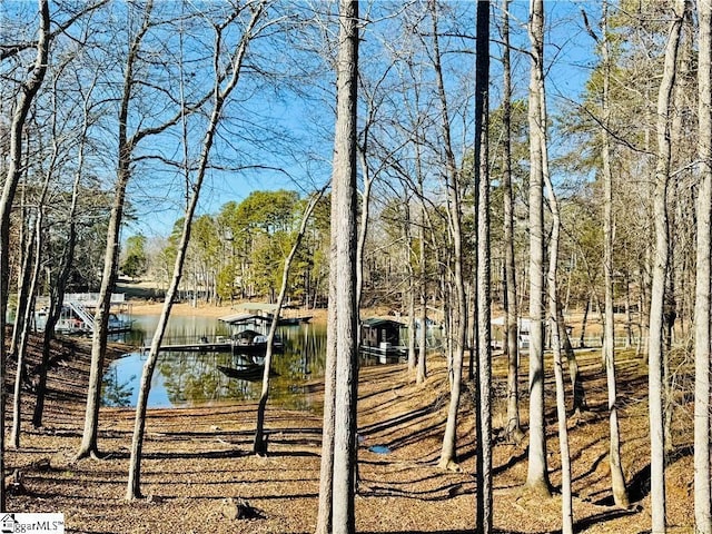 view of yard with a dock and a water view