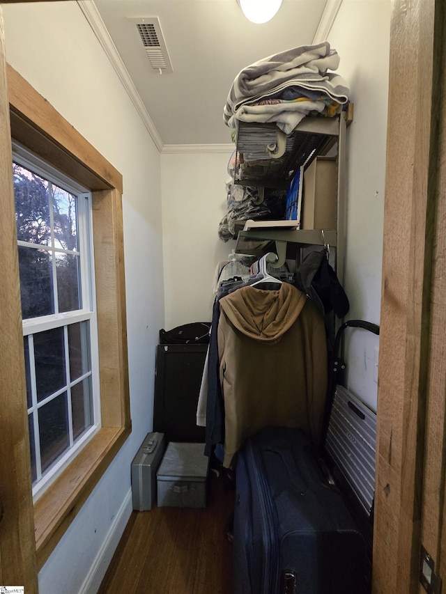 walk in closet featuring dark hardwood / wood-style flooring