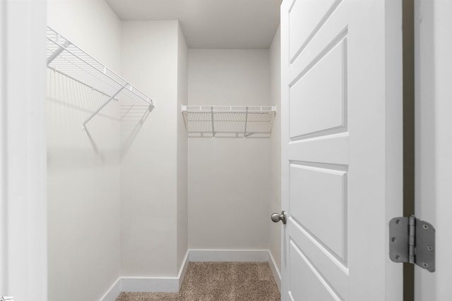 spacious closet with light carpet