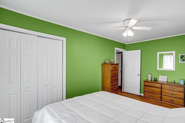 bedroom featuring a closet, ceiling fan, and light hardwood / wood-style flooring