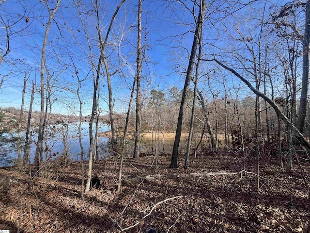 00 Rabon Creek Cir, Waterloo SC, 29384 land for sale