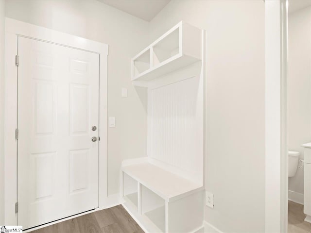 mudroom featuring hardwood / wood-style flooring