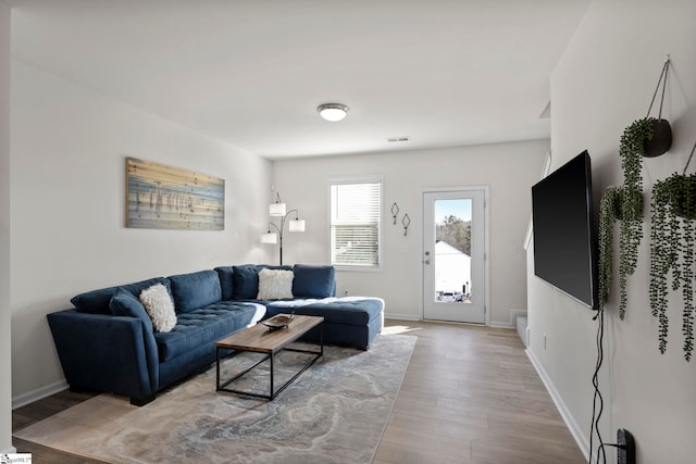 living room with light hardwood / wood-style flooring