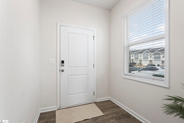 entryway featuring dark wood-type flooring