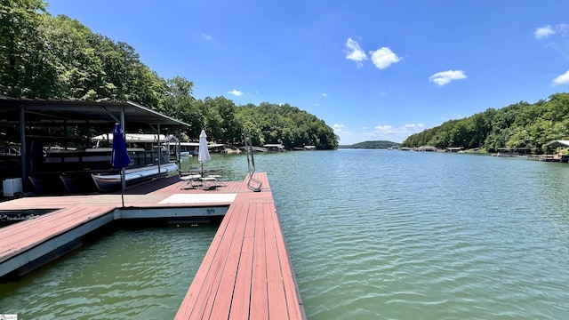 dock area featuring a water view