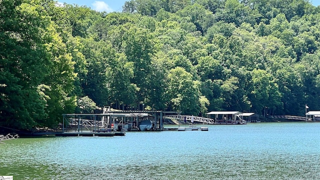 view of water feature featuring a dock