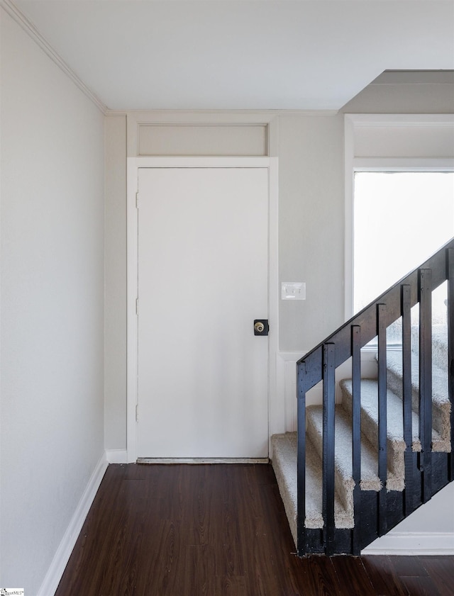 stairway with hardwood / wood-style flooring