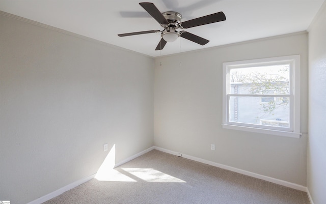 unfurnished room with ceiling fan, crown molding, and carpet floors