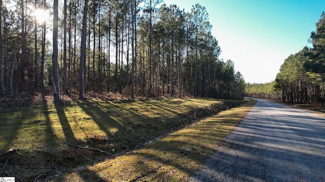 00 Elford Grove Rd Unit 9, Jonesville, SC 29353
