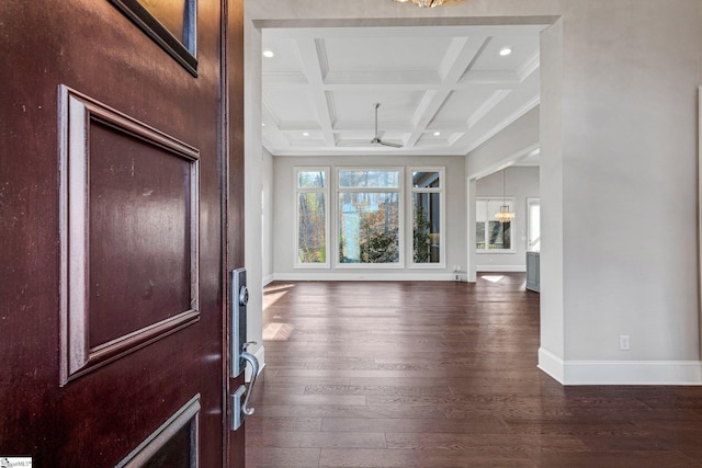 foyer with beamed ceiling, ceiling fan, dark hardwood / wood-style floors, coffered ceiling, and crown molding