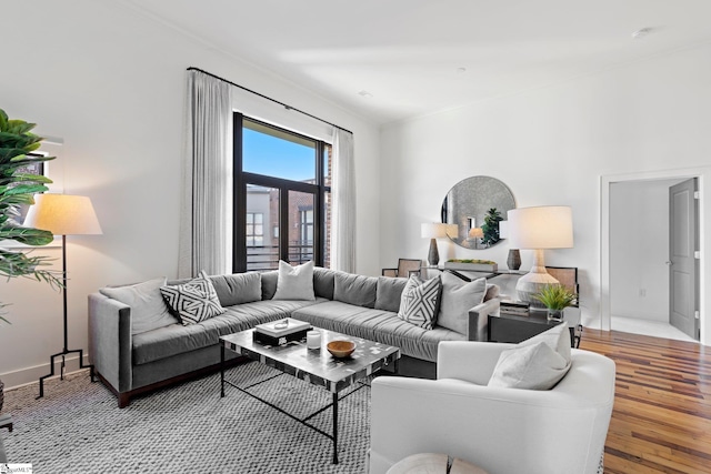 living room featuring light hardwood / wood-style floors