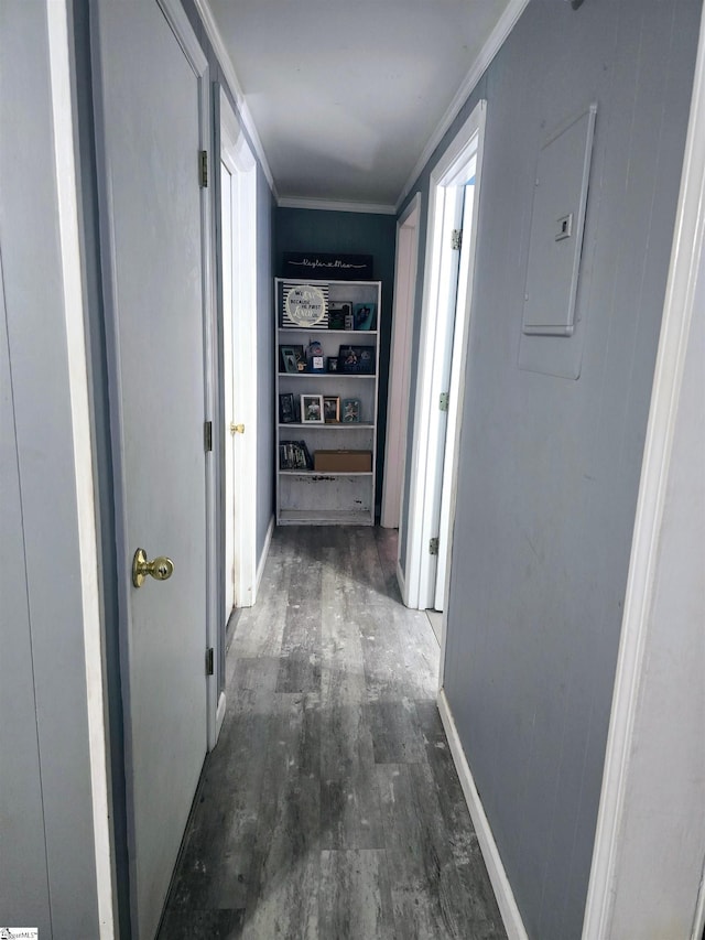 hallway featuring electric panel, crown molding, and dark hardwood / wood-style floors