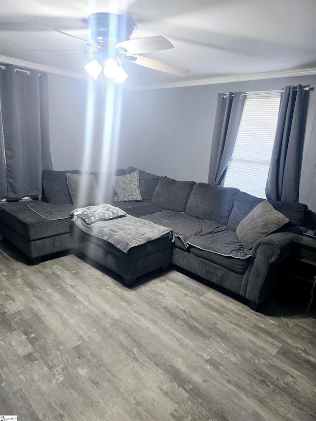 living room featuring hardwood / wood-style flooring, ceiling fan, and crown molding