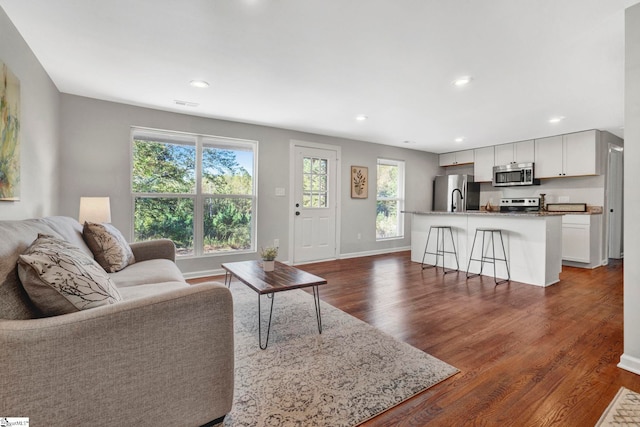 living room with dark hardwood / wood-style flooring