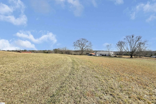 view of yard featuring a rural view