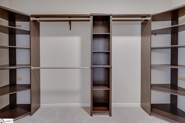 spacious closet with light carpet