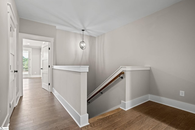 stairway featuring wood-type flooring