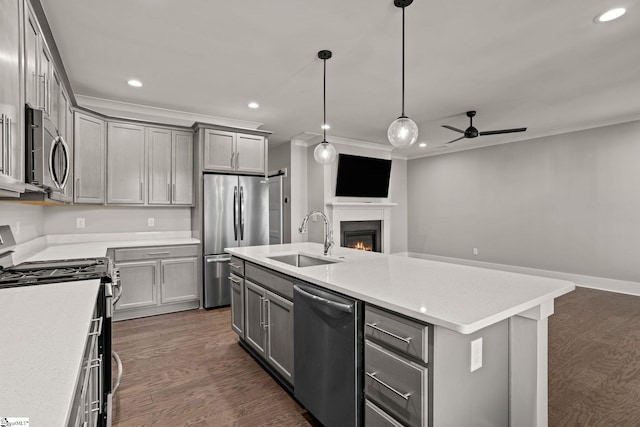 kitchen with stainless steel appliances, gray cabinets, an island with sink, and sink