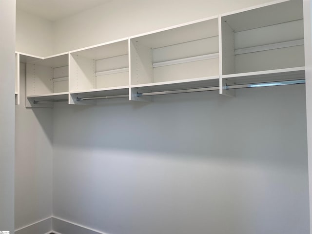 view of walk in closet