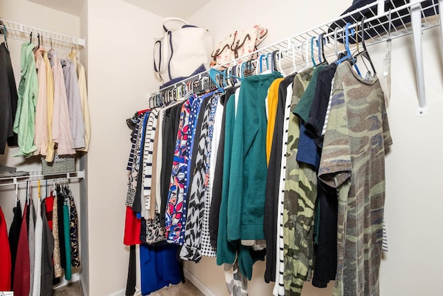 spacious closet featuring carpet flooring