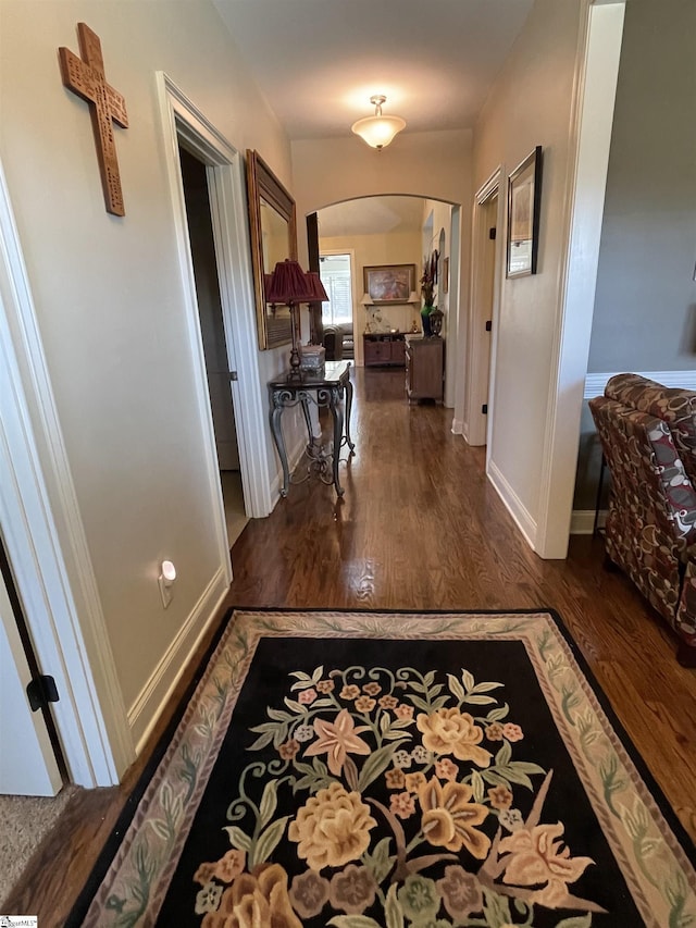 hallway featuring dark hardwood / wood-style flooring