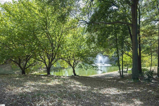 view of landscape with a water view