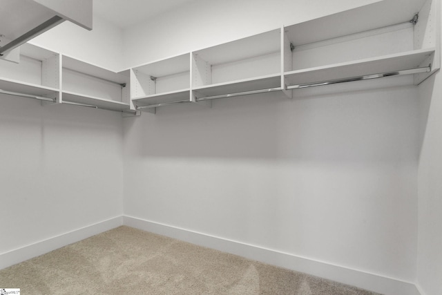 spacious closet featuring light carpet