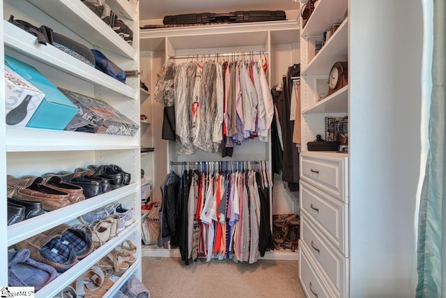 spacious closet with light colored carpet