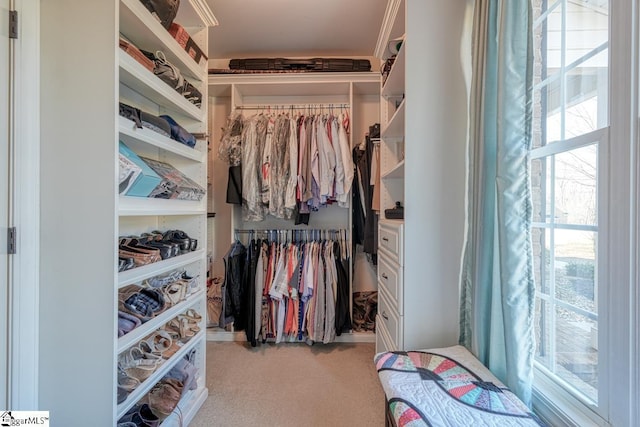 walk in closet with light carpet