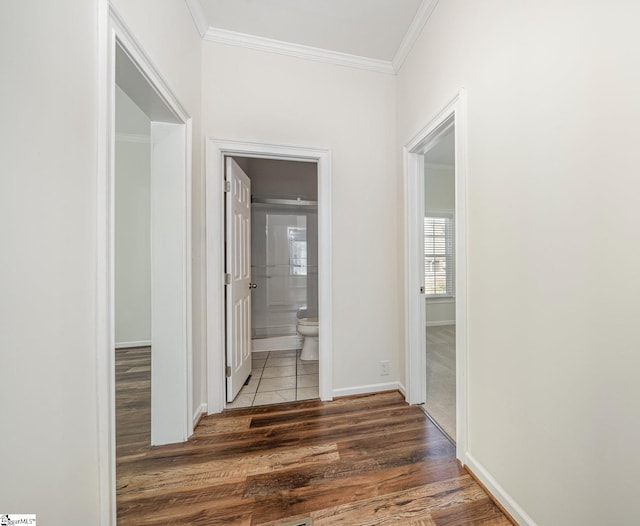 corridor featuring crown molding and dark hardwood / wood-style floors