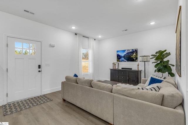 living room featuring light wood-type flooring