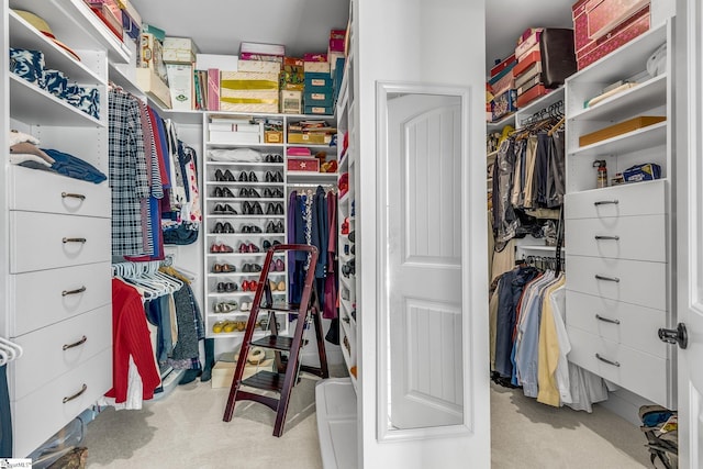 spacious closet with light colored carpet