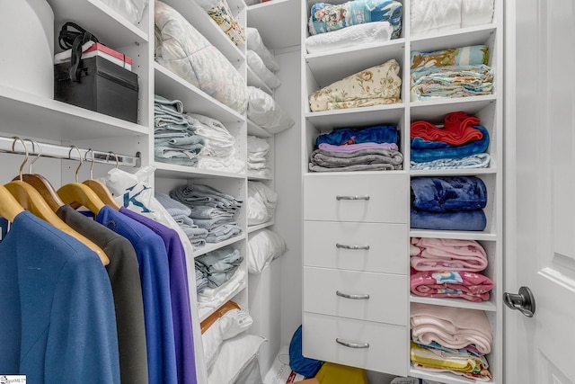 view of spacious closet