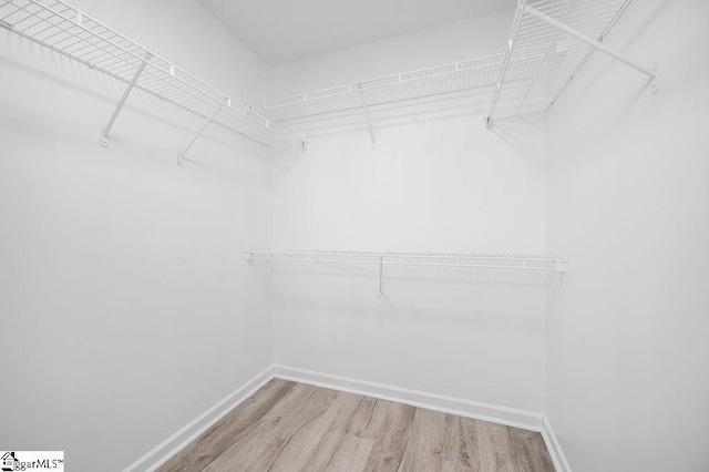 spacious closet featuring hardwood / wood-style flooring