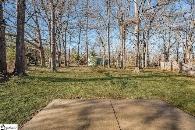 view of yard featuring a patio