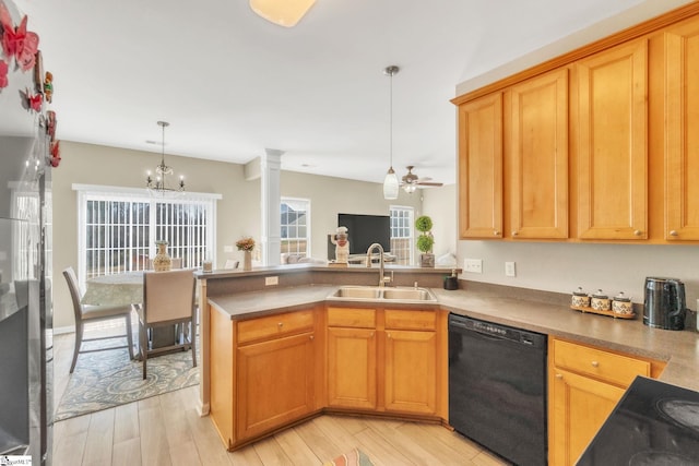 kitchen featuring light hardwood / wood-style floors, pendant lighting, sink, black dishwasher, and ceiling fan with notable chandelier