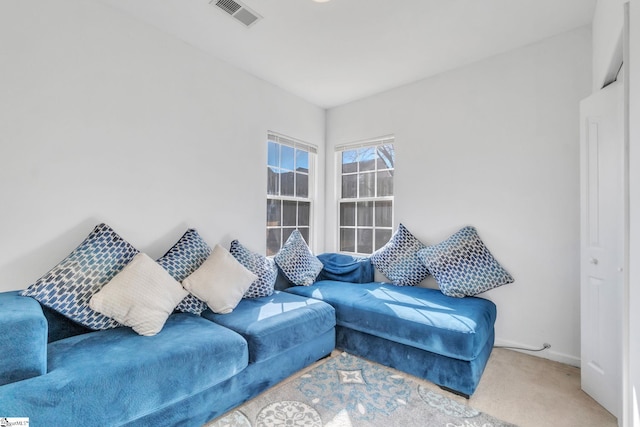 living room featuring carpet