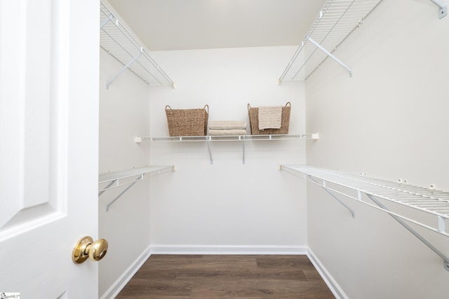 spacious closet with dark hardwood / wood-style flooring