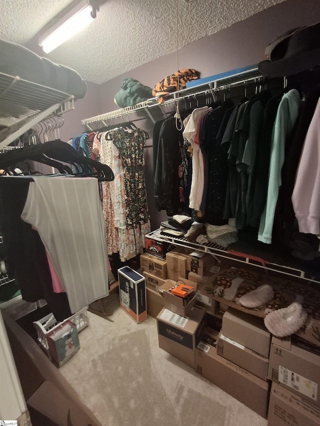 spacious closet featuring carpet