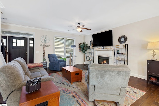 living room with ceiling fan, dark wood-type flooring, and crown molding