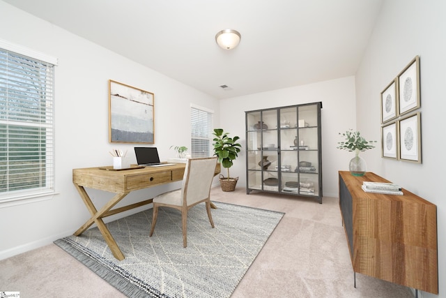 carpeted office space with a wealth of natural light