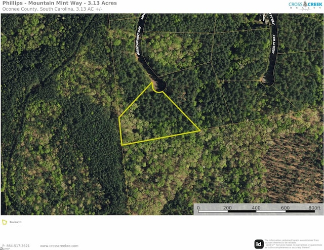 Mountain Mint Way, Salem SC, 29676 land for sale