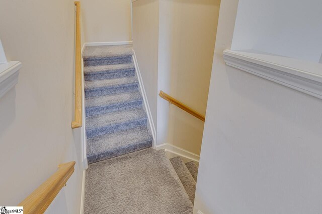 stairs with carpet flooring