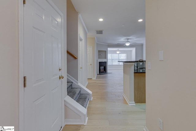 hall with sink, light hardwood / wood-style flooring, and crown molding