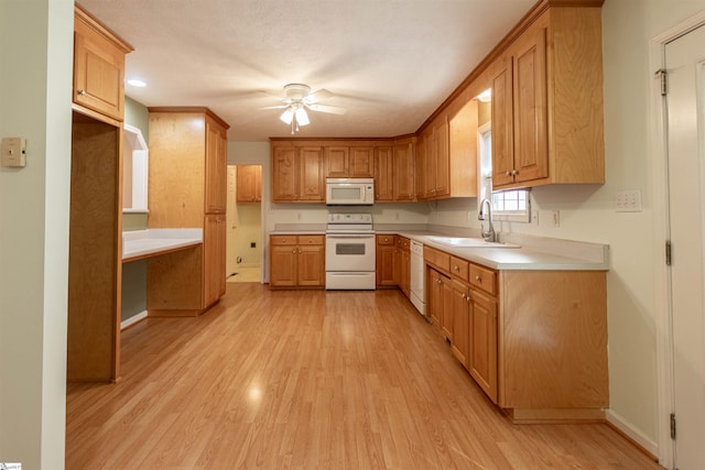 kitchen with ceiling fan, light hardwood / wood-style floors, sink, white appliances, and a textured ceiling