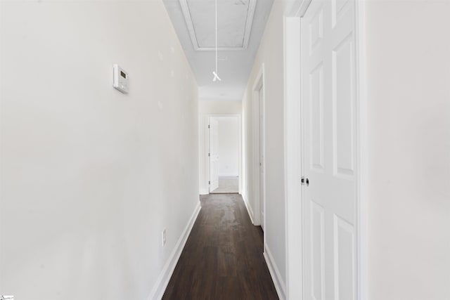 hall featuring dark hardwood / wood-style flooring