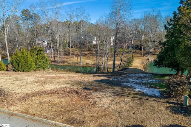 Listing photo 3 for Greenleaf Ln, Easley SC 29642