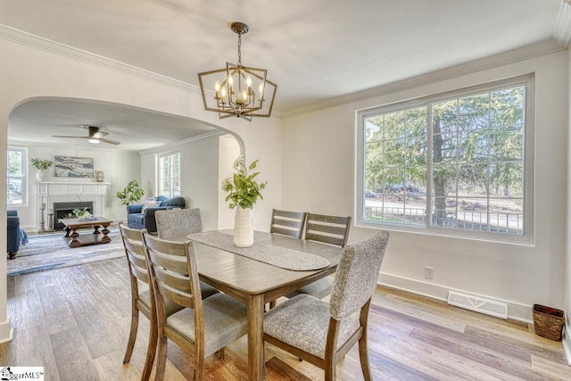 dining area featuring ceiling fan with notable chandelier, light wood-type flooring, and a healthy amount of sunlight