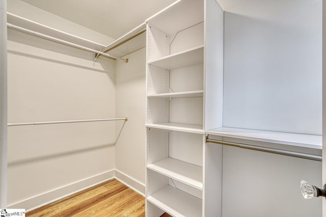 spacious closet featuring hardwood / wood-style floors