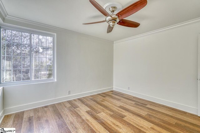 empty room with light wood-type flooring, ceiling fan, and ornamental molding